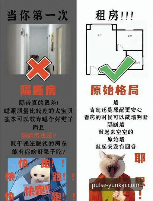 揭秘云开体育苹果下载背后的真相：资深用户手把手教你避开所有坑